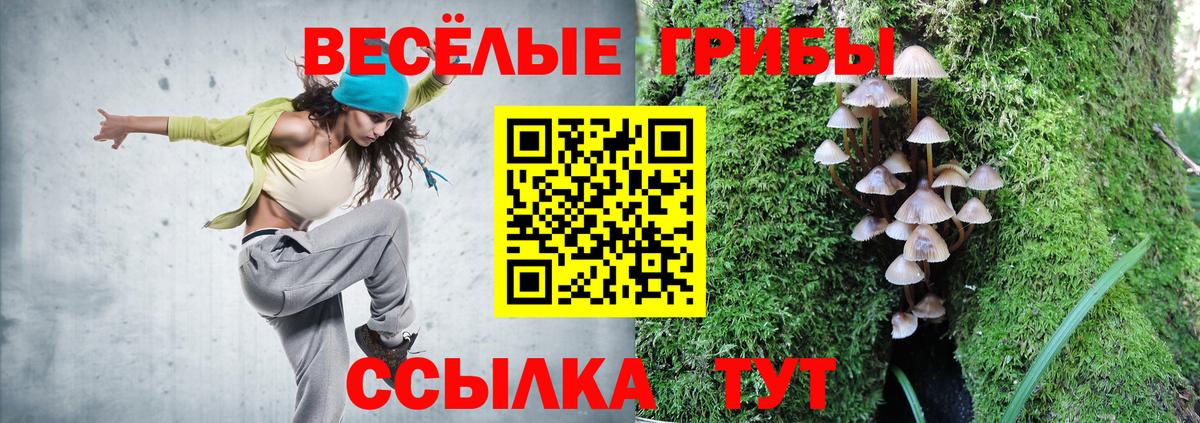Екатеринбург  Псилоцибиновые грибы прущие грибы  купить наркоту  Вход с VPN 