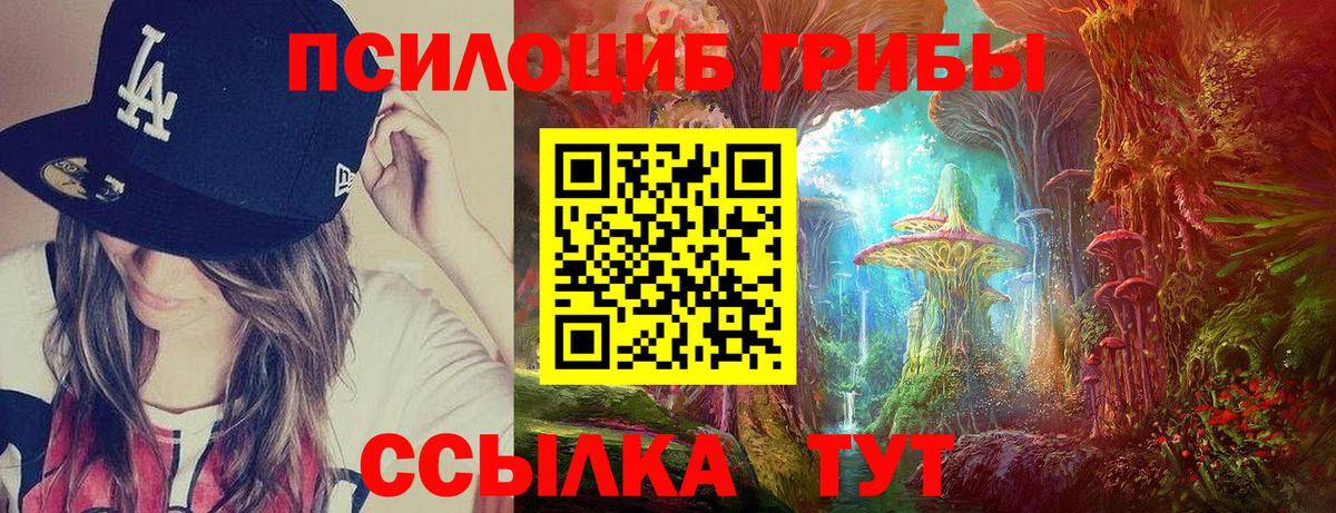 Псилоцибиновые грибы Psilocybe Екатеринбург